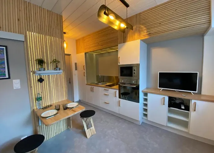 Quartier Salins 5mn Gare Routiere * Clermont-Ferrand